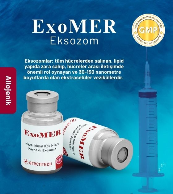 ExoMER Eksozom