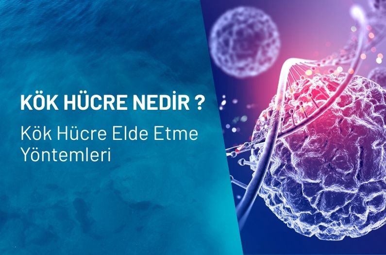 KÖK HÜCRE TEDAVİSİ