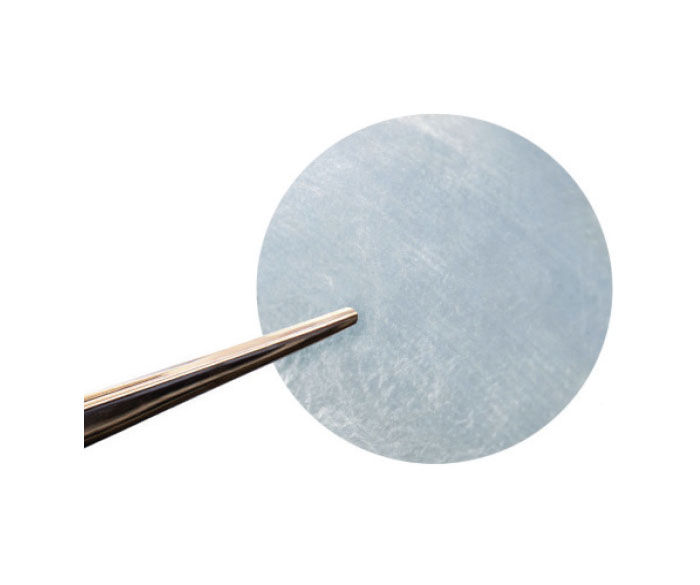  AMNIOTIC MEMBRANE DISC