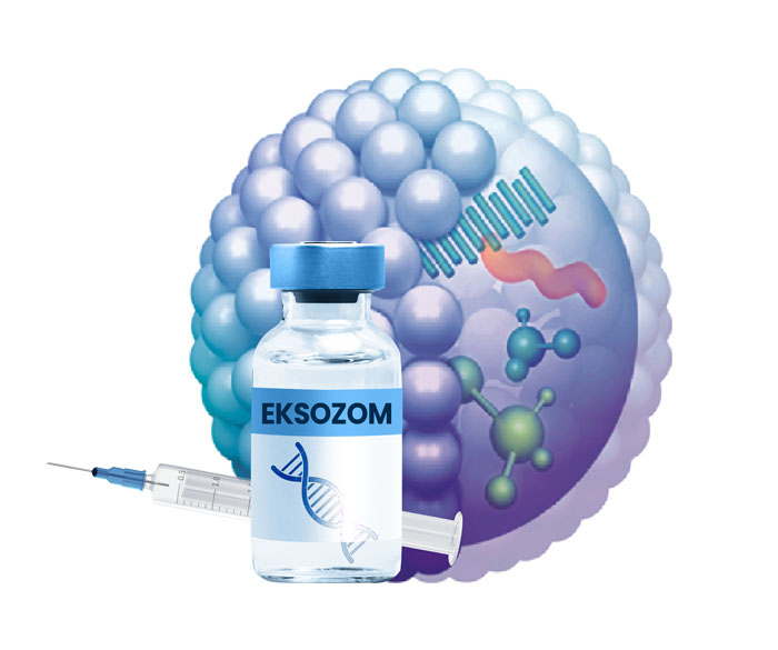  Allogeneic Exosome